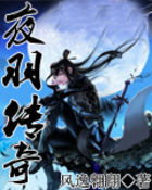 夜羽传奇