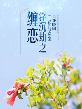 婚里婚外姐弟恋：浮沉劫之缠恋