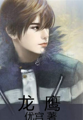 《龙鹰》txt全文阅读