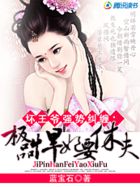 坏王爷强势纠缠：极品悍妃要休夫