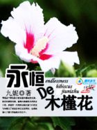 永恒的木槿花