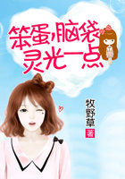 笨蛋，脑袋灵光一点全文阅读