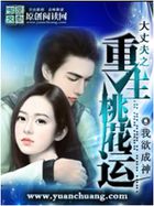 大丈夫之重生桃花运全文阅读