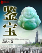 鉴宝全文阅读