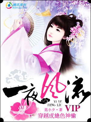 穿越成绝色神偷：一夜风流
