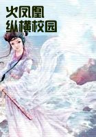 火凤凰纵横校园