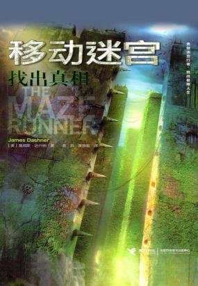 移动迷宫：找出真相