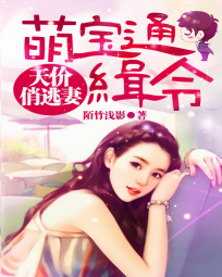萌宝通缉令：天价俏逃妻全文阅读