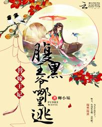 替嫁王妃：腹黑王爷哪里逃