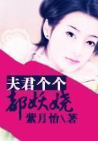 夫君个个都妖娆全文阅读
