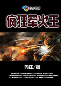疯狂军火王【完结】