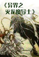《异界之灭龙魔导士》