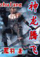 《神龙腾飞》txt全文阅读