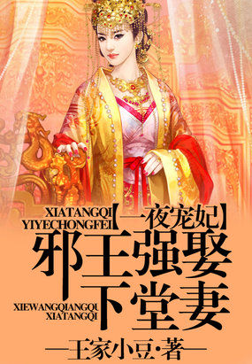 一夜宠妃：邪王强娶下堂妻