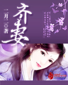 《齐妻》txt全文阅读