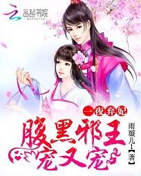 一夜弃妃：腹黑邪王宠又宠全文阅读