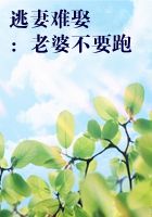 逃妻难娶：老婆不要跑