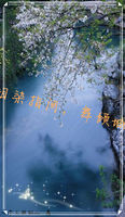 泪染指间，舞倾城