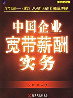 中国企业宽带薪酬实务
