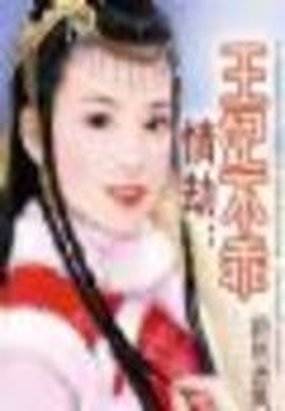《情劫：王妃不乖》txt全文阅读