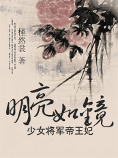 少女将军帝王妃：明亮如镜
