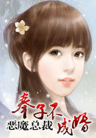 恶魔总裁：奉子不成婚