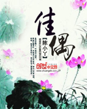 《佳偶》txt全文阅读