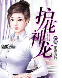 护花神龙全文阅读