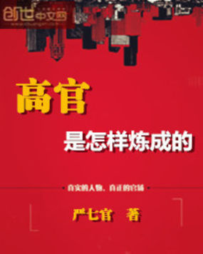 高官是怎样炼成的全文阅读