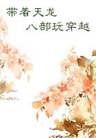 带着天龙八部玩穿越