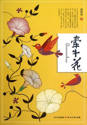 牵牛花全文阅读