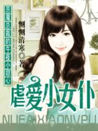 恶魔总裁的午夜小甜心：虐爱小女仆