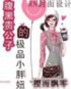 腹黑贵公子的极品小胖妞