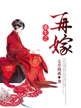 重生之再嫁全文阅读