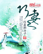 《巧妻》txt全文阅读
