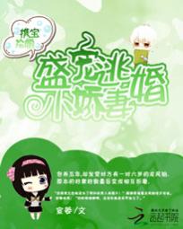 携宝抢婚：盛宠逃婚小娇妻全文阅读