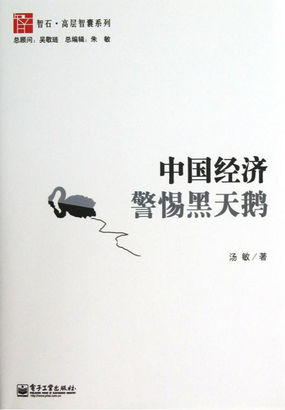 中国经济：警惕黑天鹅