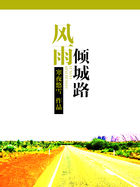 风雨倾城路全文阅读