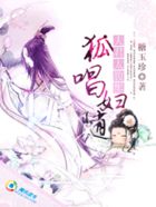 夫君太腹黑：狐唱妇随
