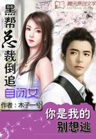 黑帮总裁倒追自闭女