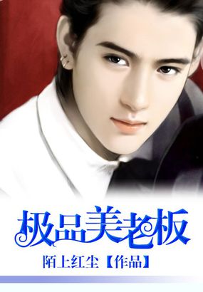 极品美老板全文阅读