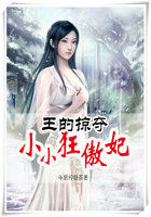 王的掠夺：小小狂傲妃