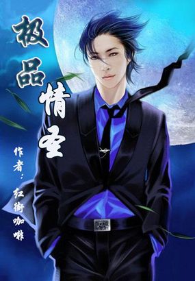 极品情圣全文阅读