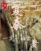 《复秦》txt全文阅读