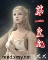 第一皇妃IV