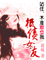站住，不准欺负我：抵债女友（完）