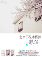 《怎么不见木槿掉眼泪》