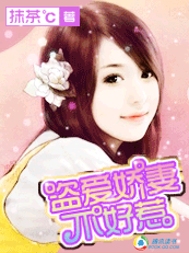 掠爱记：盗爱娇妻不好惹