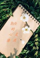 Bob的心灵港湾
