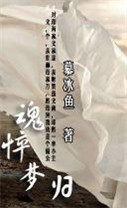 穿越清朝兄弟阋墙时：魂悴梦归